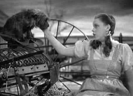 New Scientist. Science news and long reads from expert journalists, covering developments in science, technology, health and the environment on the website and the magazine.