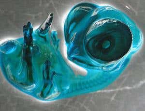 Gallery: Microscopic images with a big impact