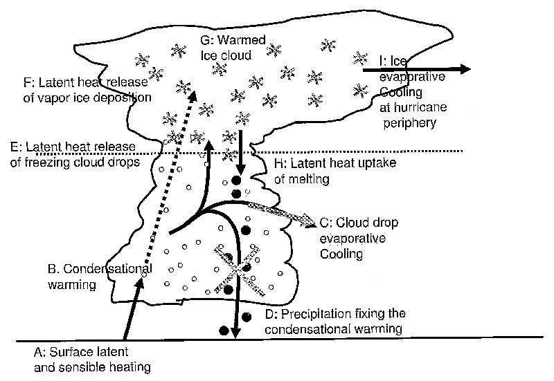 New Scientist. Science news and long reads from expert journalists, covering developments in science, technology, health and the environment on the website and the magazine.
