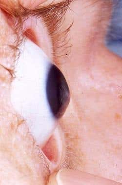 New Scientist. Science news and long reads from expert journalists, covering developments in science, technology, health and the environment on the website and the magazine.