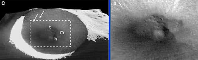 A few craters spanning hundreds of metres pockmark Shackleton's inner wall (arrows), while a mound-like feature (marked 