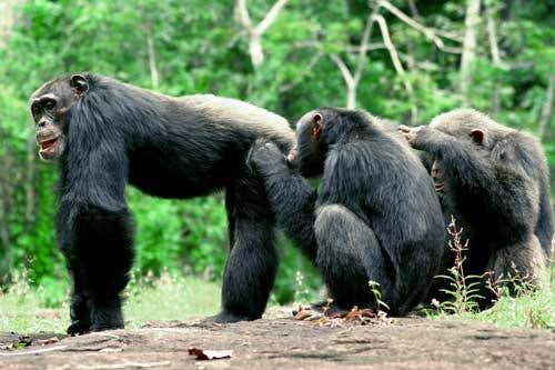 New Scientist. Science news and long reads from expert journalists, covering developments in science, technology, health and the environment on the website and the magazine.