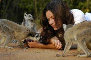 Interview: Living a wild life