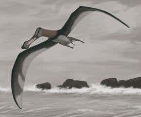 Were pterosaurs too big to fly?