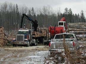 Review: <i>Green Inc.</i> by Christine MacDonald