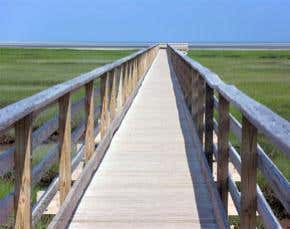 Coastal wetlands 'a washout' against storm surges