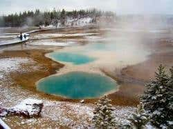 New Scientist. Science news and long reads from expert journalists, covering developments in science, technology, health and the environment on the website and the magazine.