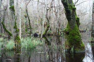 Why the financial system is like an ecosystem