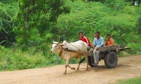 Cellphones could be used to build 'audio internet'