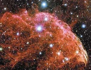 New Scientist. Science news and long reads from expert journalists, covering developments in science, technology, health and the environment on the website and the magazine.