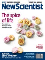 New Scientist issue 2684 cover
