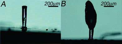 New Scientist. Science news and long reads from expert journalists, covering developments in science, technology, health and the environment on the website and the magazine.