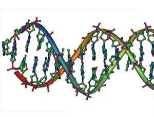 New Scientist. Science news and long reads from expert journalists, covering developments in science, technology, health and the environment on the website and the magazine.