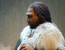 Were Neanderthals stoned to death by modern humans?