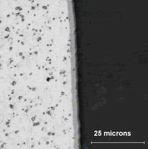 New Scientist. Science news and long reads from expert journalists, covering developments in science, technology, health and the environment on the website and the magazine.