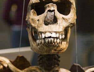 New Scientist. Science news and long reads from expert journalists, covering developments in science, technology, health and the environment on the website and the magazine.