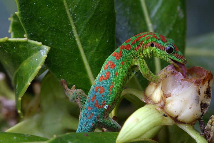 New Scientist. Science news and long reads from expert journalists, covering developments in science, technology, health and the environment on the website and the magazine.