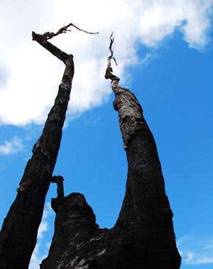 New Scientist. Science news and long reads from expert journalists, covering developments in science, technology, health and the environment on the website and the magazine.