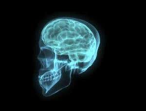 The secret life of the brain