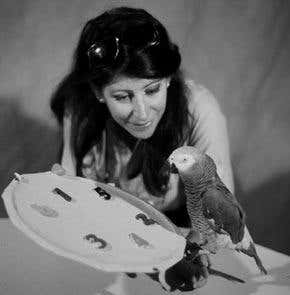 Review: <i>Alex and Me</i> by Irene Pepperberg