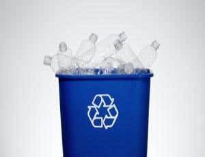 Dumb eco-questions you were afraid to ask