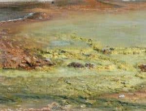 New Scientist. Science news and long reads from expert journalists, covering developments in science, technology, health and the environment on the website and the magazine.