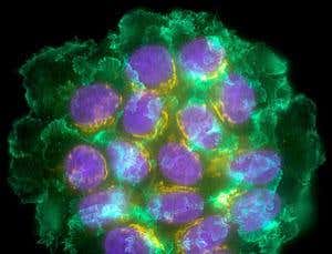 New Scientist. Science news and long reads from expert journalists, covering developments in science, technology, health and the environment on the website and the magazine.