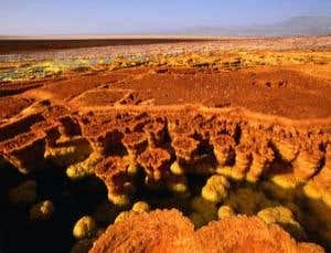 New Scientist. Science news and long reads from expert journalists, covering developments in science, technology, health and the environment on the website and the magazine.