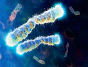 New Scientist. Science news and long reads from expert journalists, covering developments in science, technology, health and the environment on the website and the magazine.