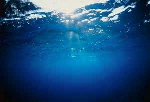 New Scientist. Science news and long reads from expert journalists, covering developments in science, technology, health and the environment on the website and the magazine.