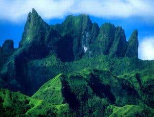 On the trail of Tahiti's elusive vanilla orchid