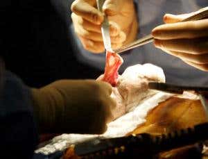 New Scientist. Science news and long reads from expert journalists, covering developments in science, technology, health and the environment on the website and the magazine.