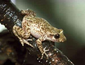 New Scientist. Science news and long reads from expert journalists, covering developments in science, technology, health and the environment on the website and the magazine.