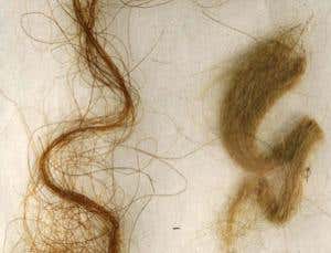 Darwin vs Galileo: Who cut us down to size?