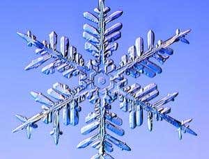 New Scientist. Science news and long reads from expert journalists, covering developments in science, technology, health and the environment on the website and the magazine.