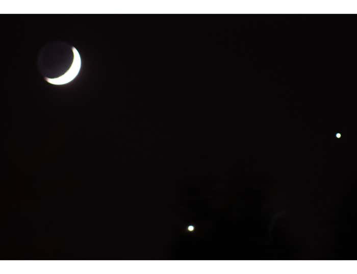 New Scientist. Science news and long reads from expert journalists, covering developments in science, technology, health and the environment on the website and the magazine.