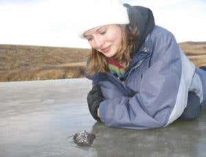 Meteorite hunters hit pay dirt in Canadian prairie