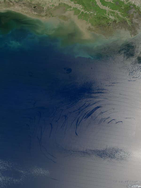 New Scientist. Science news and long reads from expert journalists, covering developments in science, technology, health and the environment on the website and the magazine.