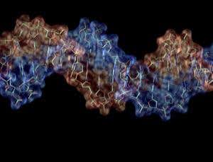 New Scientist. Science news and long reads from expert journalists, covering developments in science, technology, health and the environment on the website and the magazine.