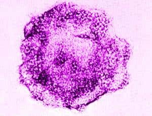 New Scientist. Science news and long reads from expert journalists, covering developments in science, technology, health and the environment on the website and the magazine.