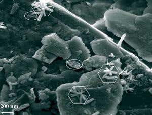 Nanoparticles from melting glaciers could trap carbon