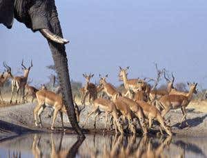 New Scientist. Science news and long reads from expert journalists, covering developments in science, technology, health and the environment on the website and the magazine.