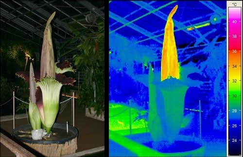 New Scientist. Science news and long reads from expert journalists, covering developments in science, technology, health and the environment on the website and the magazine.