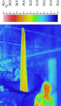 A thermal image of the carrion flower, with a woman in the foreground (Image copyright: Jörg Szarzynski