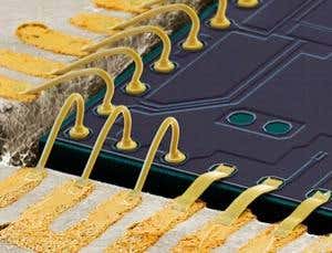 New Scientist. Science news and long reads from expert journalists, covering developments in science, technology, health and the environment on the website and the magazine.