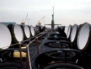 Bacteria turned assassin after leaving the oceans