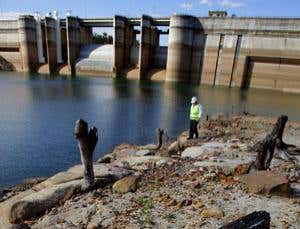 Stock market game may predict eco disasters