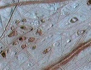 New Scientist. Science news and long reads from expert journalists, covering developments in science, technology, health and the environment on the website and the magazine.