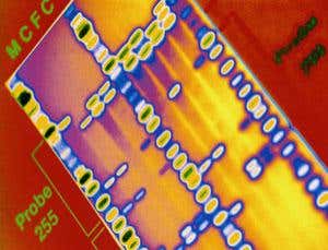 New Scientist. Science news and long reads from expert journalists, covering developments in science, technology, health and the environment on the website and the magazine.