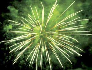 New Scientist. Science news and long reads from expert journalists, covering developments in science, technology, health and the environment on the website and the magazine.